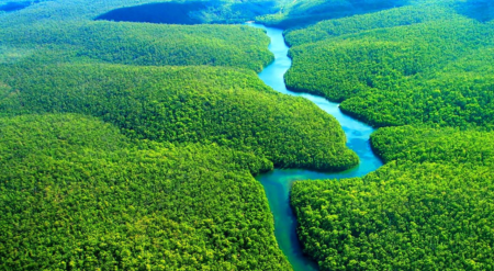 Monitoramento, desmatamento, america latina, amazonia, wri, reforestation monitoring