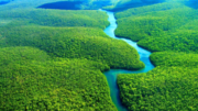 Monitoramento, desmatamento, america latina, amazonia, wri, reforestation monitoring