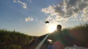 Sardrones