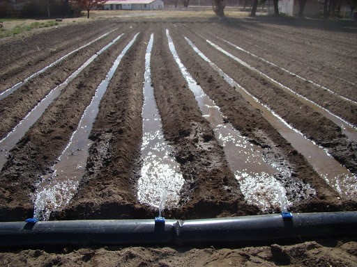 Chile Irrigation System