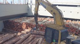 Agroempresa Forestal