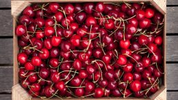 cerejas