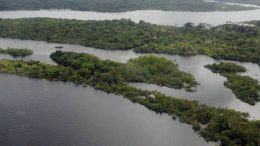 Amazônia colapso