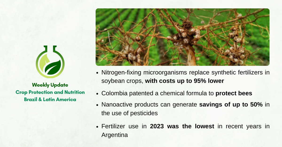 Crop Protection and Nutrition – Weekly Update Brazil & Latin America (02/01/24 – 02/07/24)