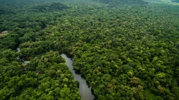 Amazônia Brasileira