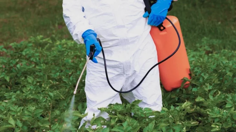 Pesticidas Bolívia
