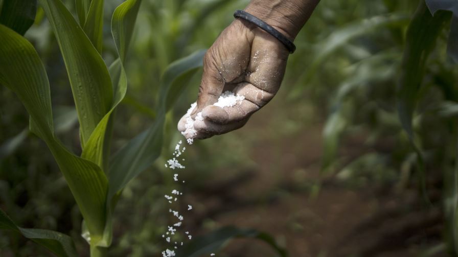 Evolução do mercado de fertilizantes da Colômbia