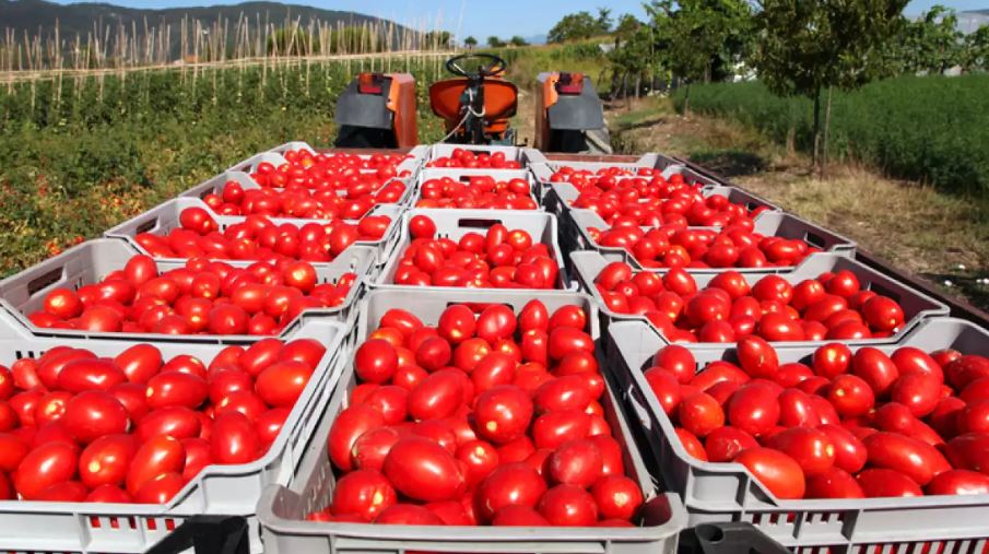 Overview by AgriBrasilis (07/12/25 – 07/18/25)