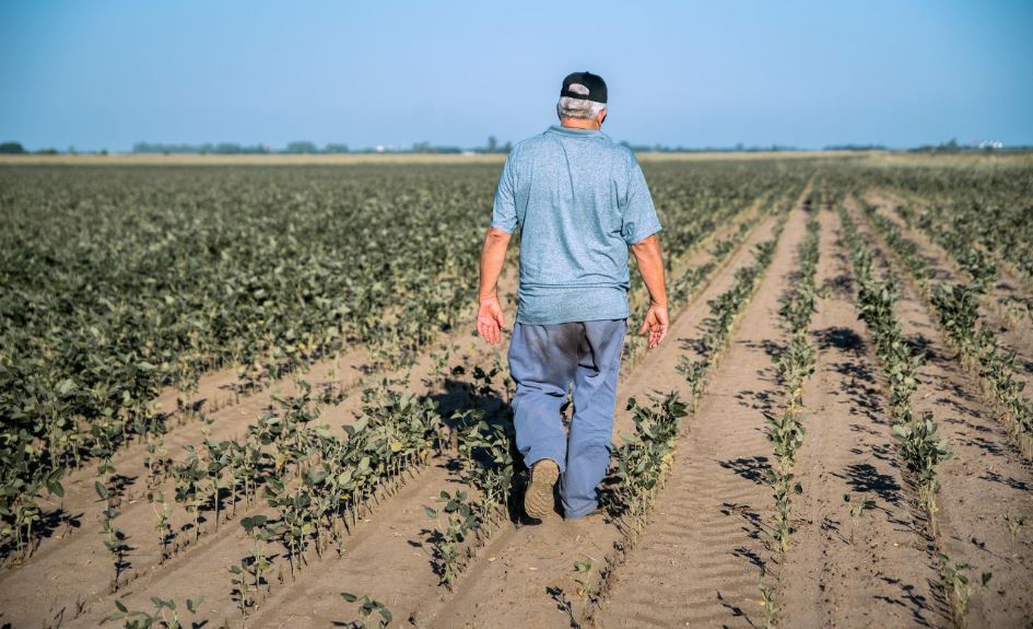 Retenciones “travam” o agro da Argentina