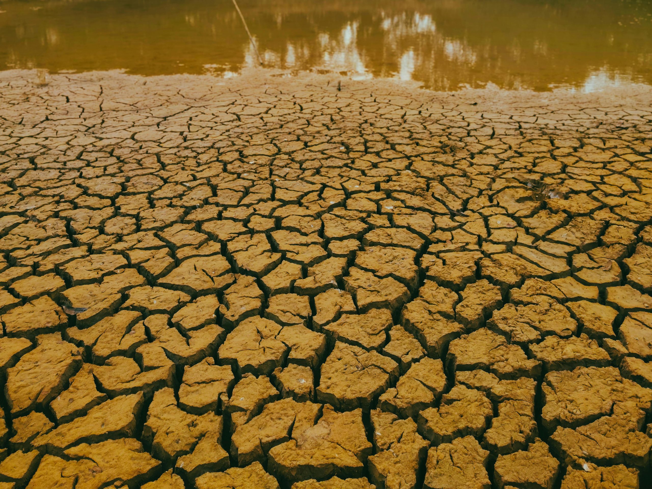 Climate Crisis Has Already Caused Billion-Dollar Losses for Uruguay’s Agriculture