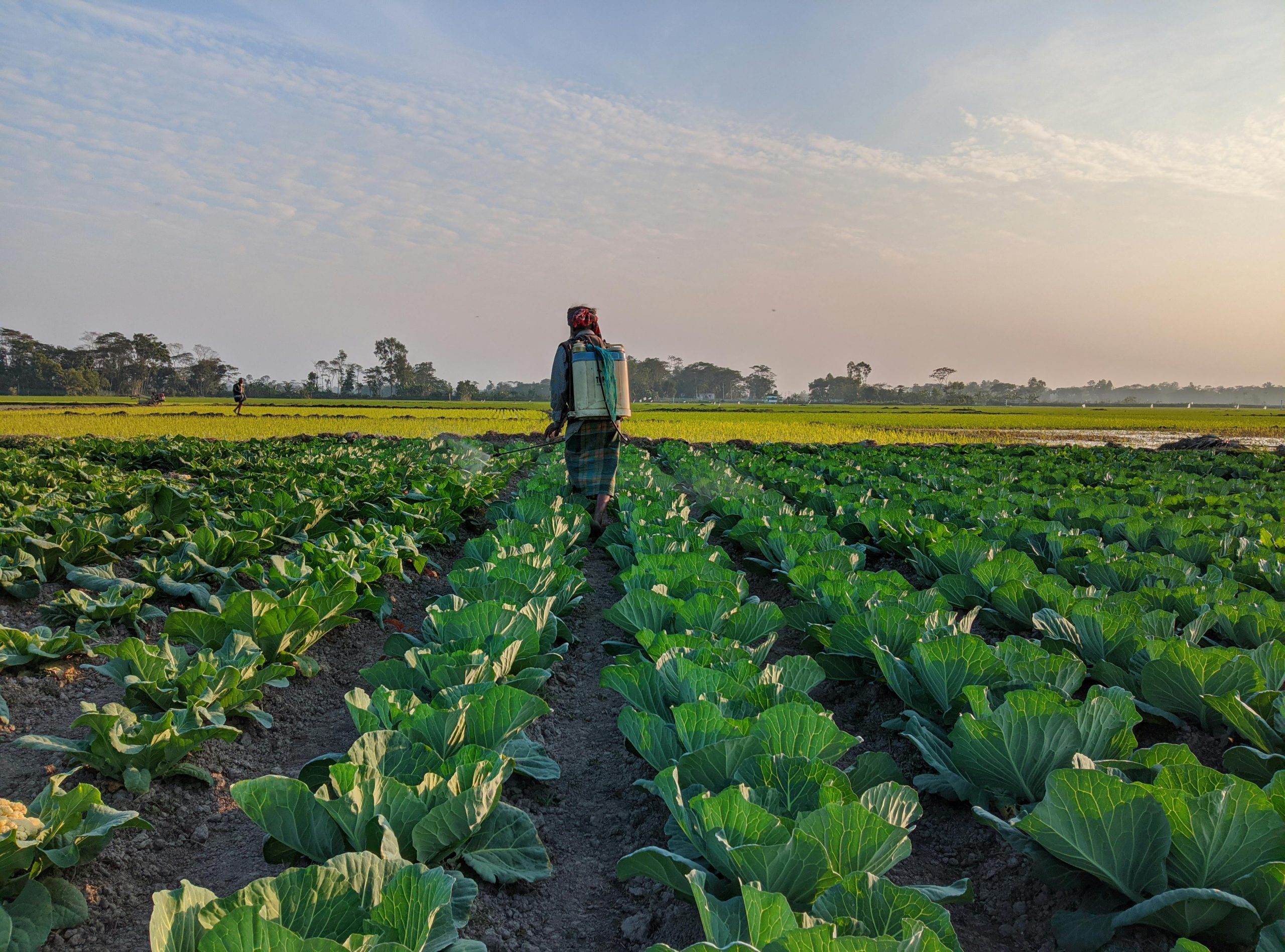 Brazil’s Ministry of Agriculture Outlines Advances in Fertilizer Regulation