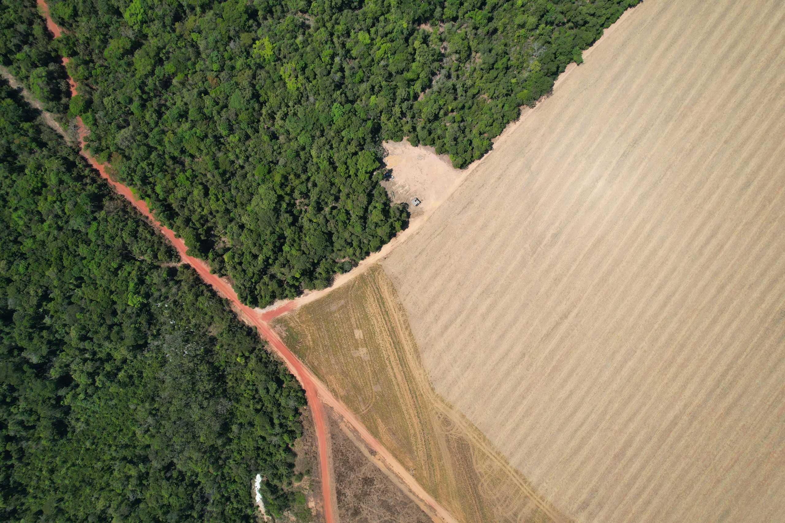 Environmental Report Brazil & Latin America (05/10/26 – 05/16/26)
