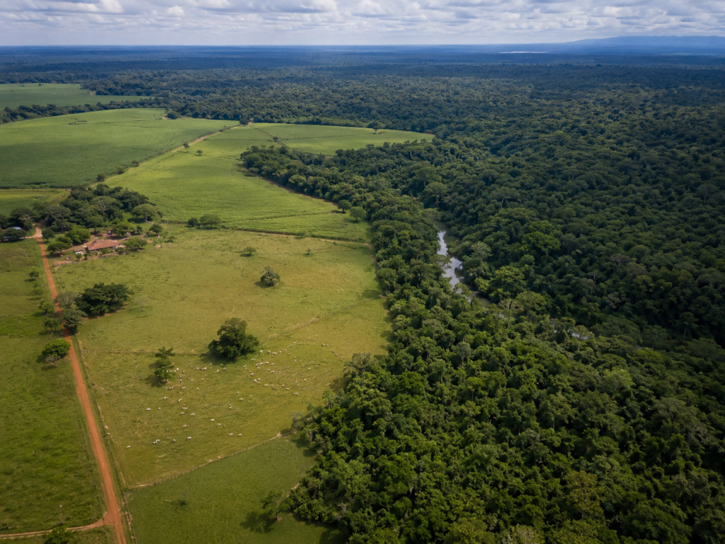 Environmental Report Brazil & Latin America (05/25/26 – 06/06/26)