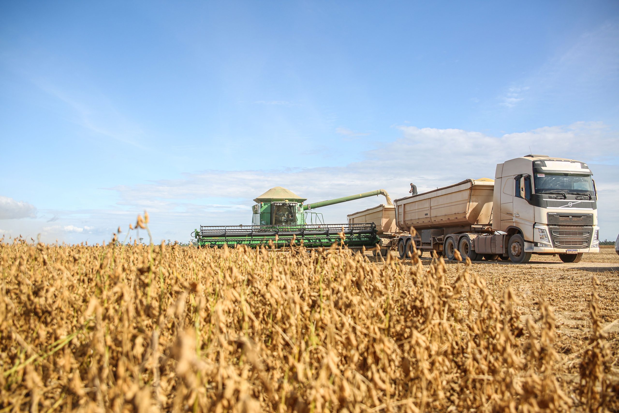 Crop Protection and Nutrition – Weekly Update Brazil & Latin America (06/25/26 – 07/01/26)