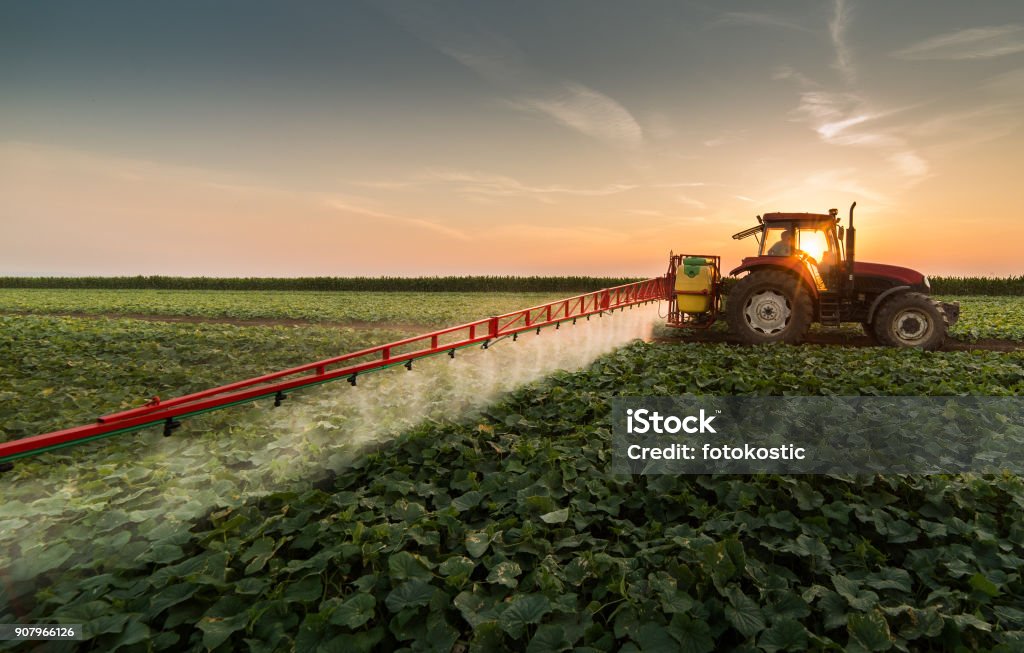 Improper Use of Agrochemicals Puts Sensitive Crops at Risk in Brazil