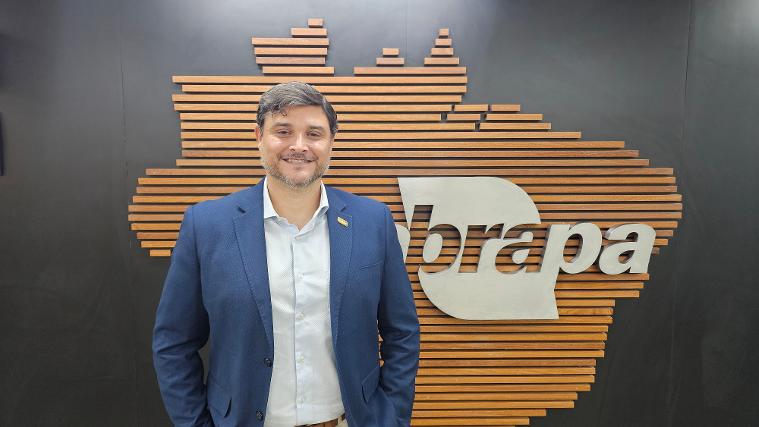 Sorghum Area Grows 32.9% in Brazil as Sector Targets China